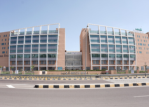 Mega Mall_510 x 365