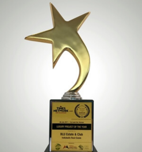 Luxury Project of the Year